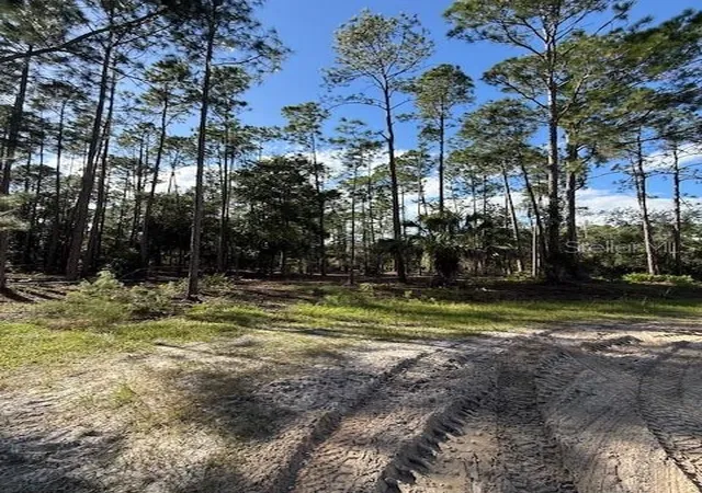 Photo 2 of Land for sale at 215 Hideaway Ln, Georgetown, FL 32139 | MLS# V4949730 | Listing updated on 2026-08-04