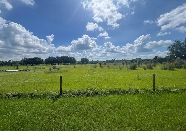 Homes for sale in Myakka City, FL | 8755 Wauchula Rd, Myakka City, FL 34251 | MLS# A4697477