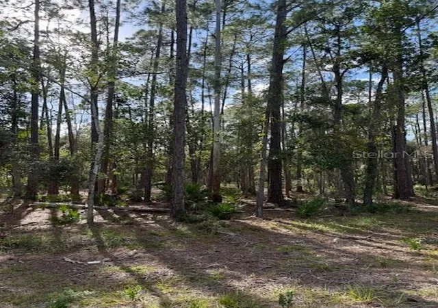 Photo 1 of Land for sale at 207 Ocala Ct, Georgetown, FL 32139 | MLS# V4949731 | Listing updated on 2026-08-04