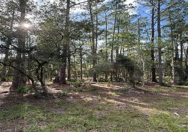 Photo 2 of Land for sale at 207 Ocala Ct, Georgetown, FL 32139 | MLS# V4949731 | Listing updated on 2026-08-04