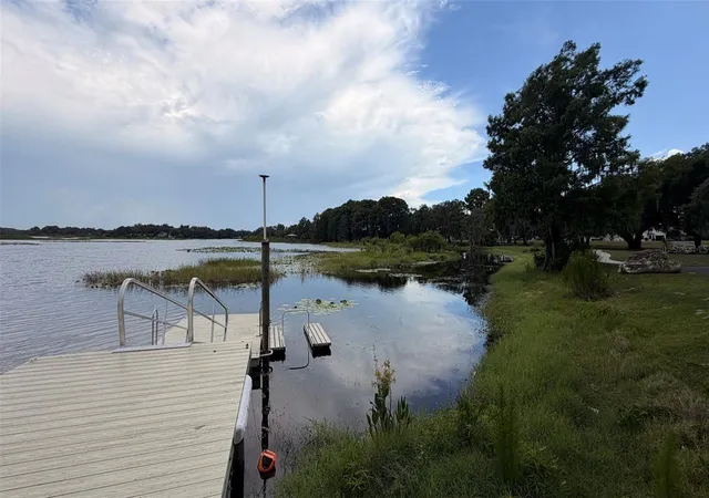 46th image of 3671 E Arbor Lakes Dr, Hernando, FL 34442 | MLS# TB8520842