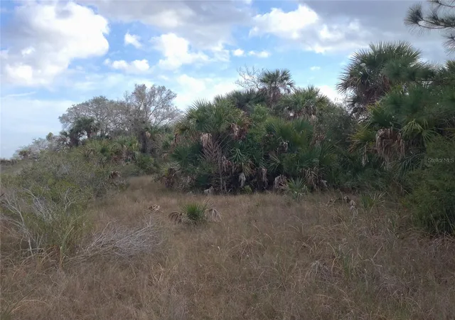 1st image of 50670 Bermont Rd, Punta Gorda, FL 33982 | MLS# C7527519