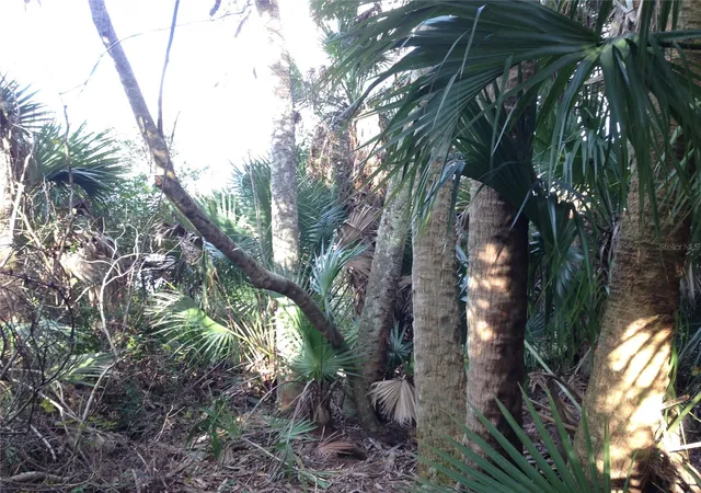 18th image of 50670 Bermont Rd, Punta Gorda, FL 33982 | MLS# C7527519