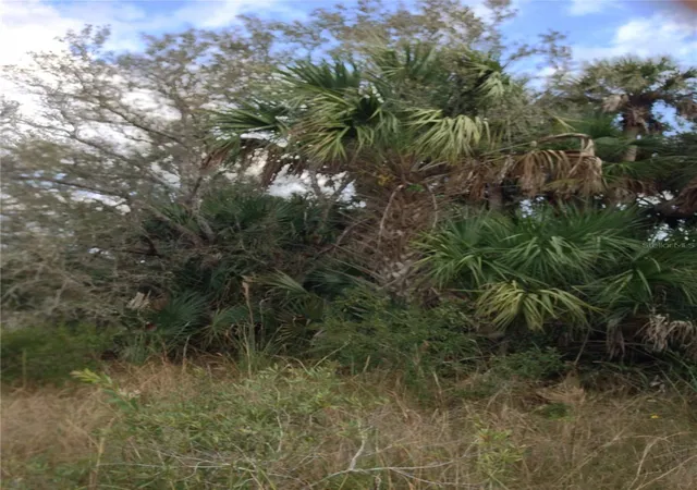 5th image of 50670 Bermont Rd, Punta Gorda, FL 33982 | MLS# C7527519