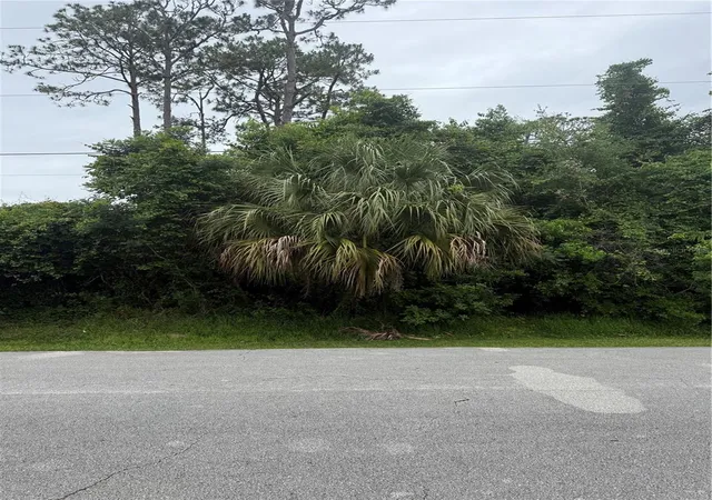 Photo 1 of Land for sale at 38 Squash Blossom Trl, Palm Coast, FL 32164 | MLS# FC319376 | Listing updated on 2026-06-19