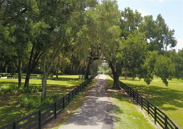 Photo 3 of House for sale at 16945 W Phil C Peters Rd, Winter Garden, FL 34787 | MLS# O6418208 | Listing updated on 2026-08-05