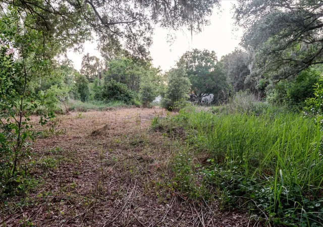 75th image of 11152 Galaxy Ln, Thonotosassa, FL 33592 | MLS# TB8521061