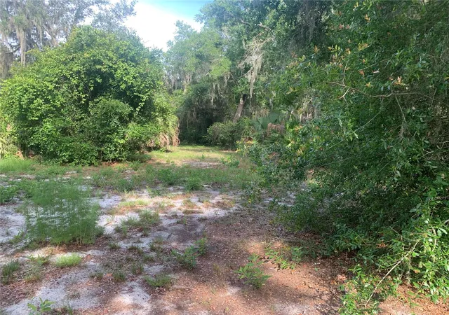Photo 4 of Land for sale at 3113 Bright Lake Cir, Groveland, FL 34736 | MLS# G5114016 | Listing updated on 2026-08-27