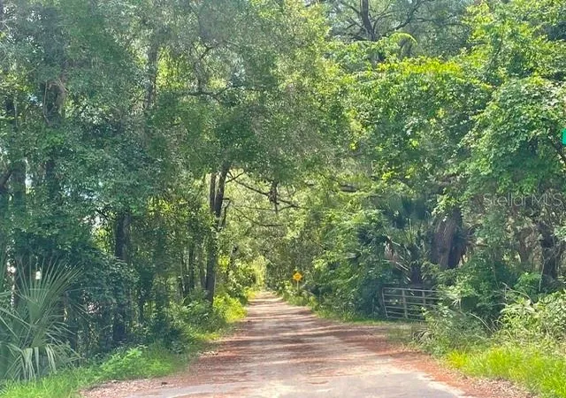 Photo 4 of Land for sale at 2075 Country Rd 75, Bunnell, FL 32110 | MLS# FC319391 | Listing updated on 2026-09-12