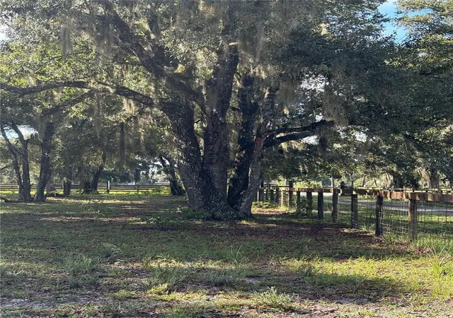 Photo 3 of Land for sale at 1l   Lot Curryville Rd, Chuluota, FL 32766 | MLS# O6418397 | Listing updated on 2026-10-06
