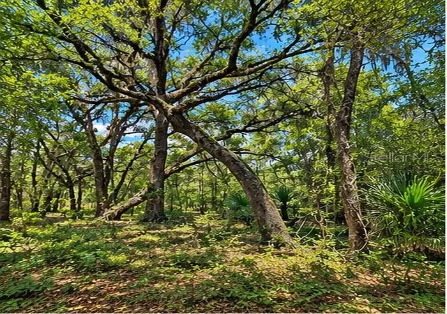 Photo 2 of Land for sale at Deepwell Dr, Brooksville, FL 34602 | MLS# W7886891 | Listing updated on 2026-09-14