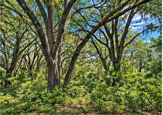 Photo 3 of Land for sale at Deepwell Dr, Brooksville, FL 34602 | MLS# W7886891 | Listing updated on 2026-09-14