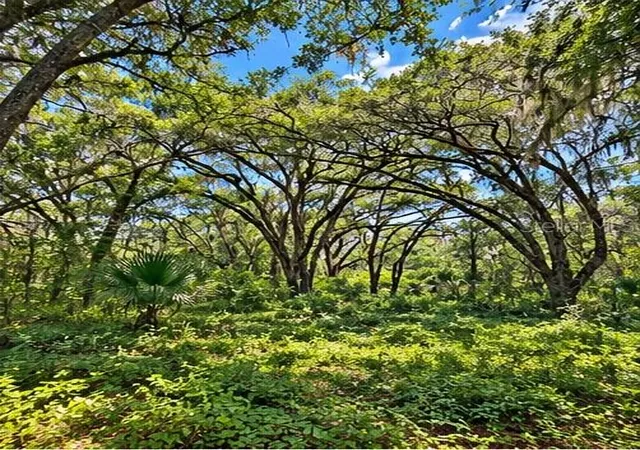 Photo 4 of Land for sale at Deepwell Dr, Brooksville, FL 34602 | MLS# W7886891 | Listing updated on 2026-09-14