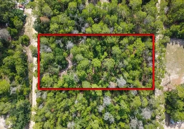 Homes for sale in Paisley, FL | Berry St, Paisley, FL 32767 | MLS# G5114030