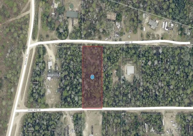 Homes for sale in Paisley, FL | Berry St, Paisley, FL 32767 | MLS# G5114030
