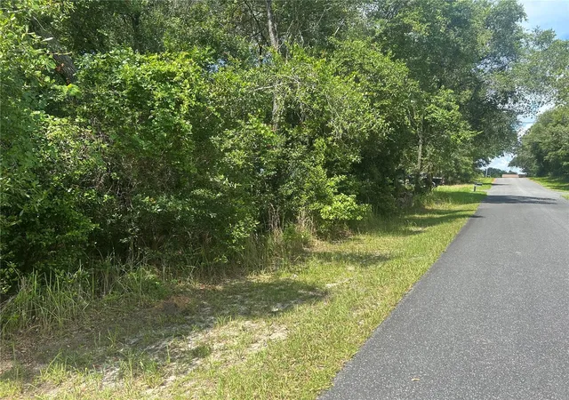 1st image of 3118 E Deal St, Inverness, FL 34453 | MLS# FC319406