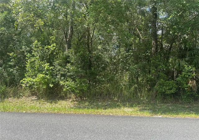 2nd image of 3118 E Deal St, Inverness, FL 34453 | MLS# FC319406