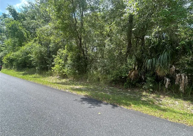4th image of 3118 E Deal St, Inverness, FL 34453 | MLS# FC319406