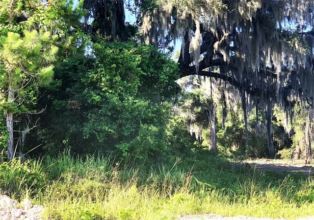 Photo 3 of Land for sale at 27551 Jackson Ct, Okahumpka, FL 34762 | MLS# G5114033 | Listing updated on 2026-06-20