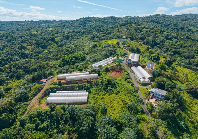Photo 1 of Land for sale at Barrio Perchas, San Sebastian, PR 00685 | MLS# PR9122209 | Listing updated on 2026-09-25