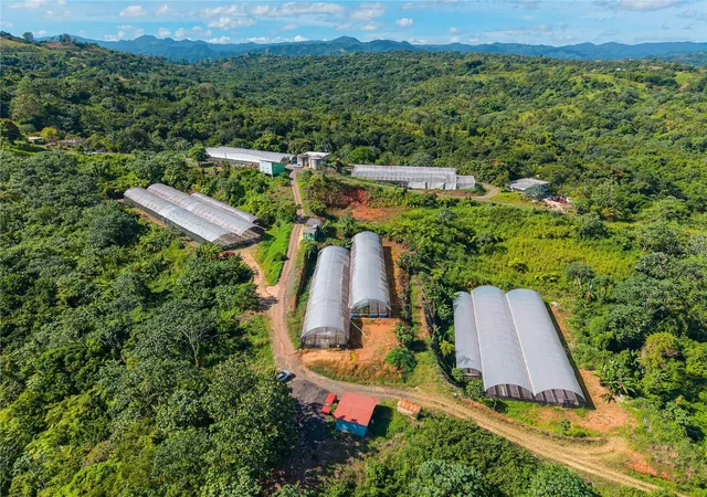 Photo 2 of Land for sale at Barrio Perchas, San Sebastian, PR 00685 | MLS# PR9122209 | Listing updated on 2026-09-25