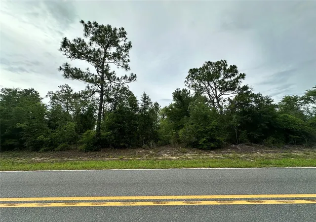Homes for sale in Bronson, FL | 9191 Ne 80th St, Bronson, FL 32621 | MLS# OM727034