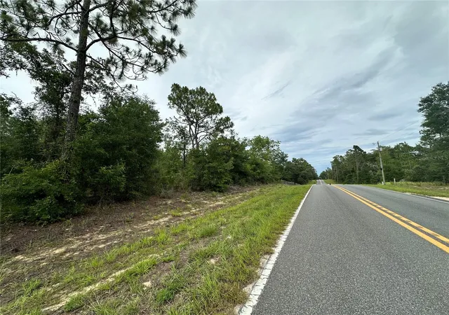 Homes for sale in Bronson, FL | 9191 Ne 80Th St, Bronson, FL 32621 | MLS# OM727034