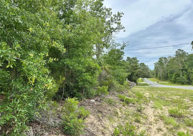 Homes for sale in Bronson, FL | 9191 Ne 80Th St, Bronson, FL 32621 | MLS# OM727034