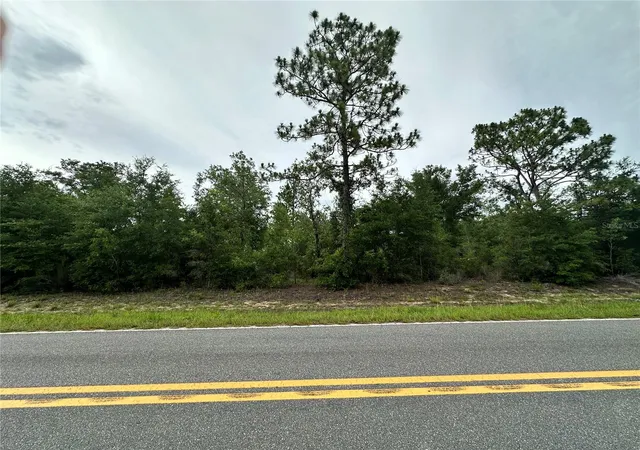 Homes for sale in Bronson, FL | 9191 Ne 80th St, Bronson, FL 32621 | MLS# OM727034