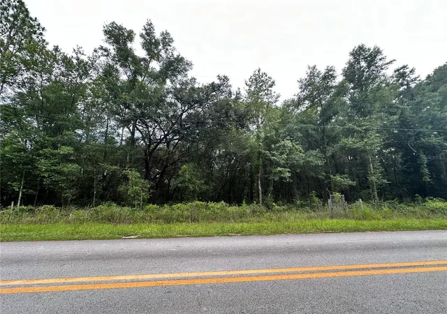 Homes for sale in Bronson, FL | Tbd Ne 65th Ln, Bronson, FL 32621 | MLS# OM727036