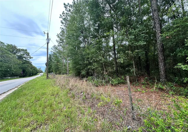 Homes for sale in Bronson, FL | Tbd Ne 65Th Ln, Bronson, FL 32621 | MLS# OM727036