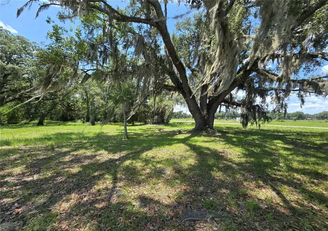 Homes for sale in Branford, FL | 7563 Se County Road 405, Branford, FL 32008 | MLS# GC541349