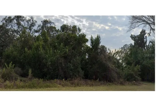 4th image of Lecanto St, Holiday, FL 34691 | MLS# A4697621