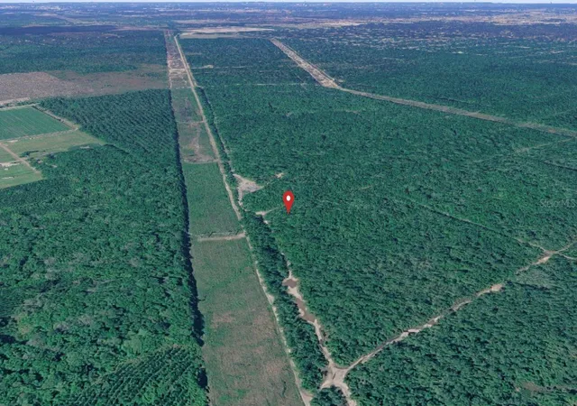 Homes for sale in Hastings, FL | E Deep Creek, Hastings, FL 32145 | MLS# D6147857