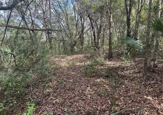 Photo 3 of Land for sale at 0 S Lake Hiawatha Dr, Lady Lake, FL 32159 | MLS# G5114058 | Listing updated on 2026-09-28