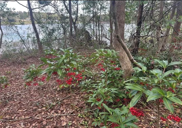 Photo 3 of Land for sale at 0 S Lake Hiawatha Dr, Lady Lake, FL 32159 | MLS# G5114058 | Listing updated on 2026-09-28