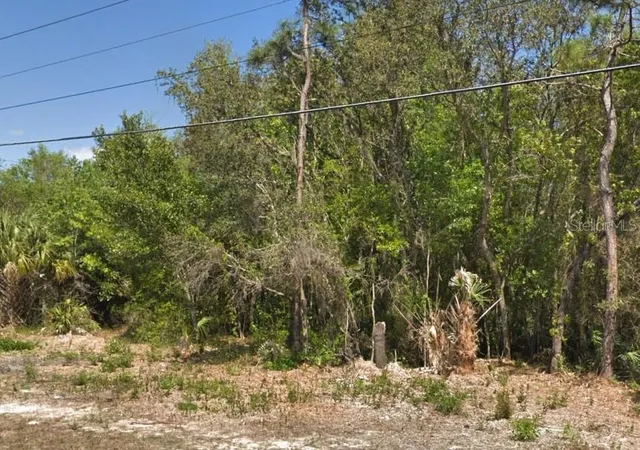 Homes for sale in Homosassa, FL | 4030 S Kings Ave, Homosassa, FL 34446 | MLS# TB8521468