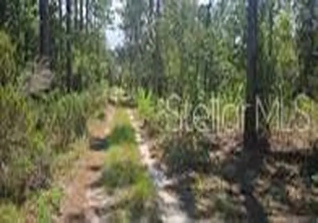 Homes for sale in Bronson, FL | 000 Ne 67th Ln, Bronson, FL 32621 | MLS# GC541356