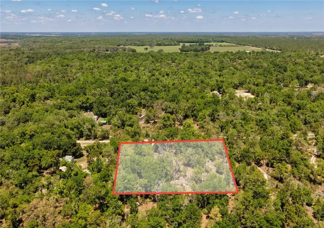 Homes for sale in Bronson, FL | Ne 125Th St, Bronson, FL 32621 | MLS# A4697665