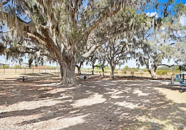 60th image of 31426 Mango Fade Wy, San Antonio, FL 33576 | MLS# TB8521513