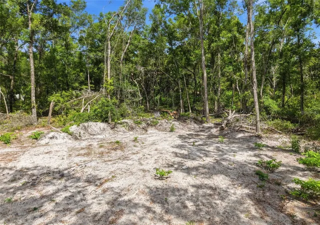 Homes for sale in Chiefland, FL | Lot 4 Nw 78Th Ave, Chiefland, FL 32626 | MLS# GC541361
