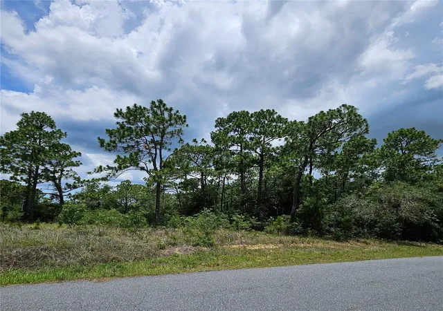 5th image of 12350 S Elm Pt, Floral City, FL 34436 | MLS# TB8521582