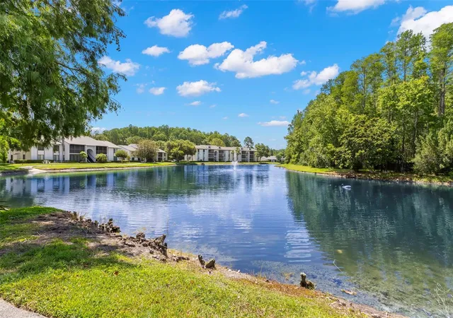 2nd image of 1290 Pine Ridge Cir E, TARPON SPRINGS, FL 34688