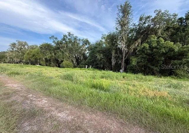 Homes for sale in Fort Meade, FL | Pool Branch Rd, Fort Meade, FL 33841 | MLS# TB8521620