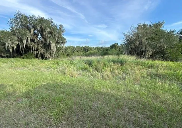 Homes for sale in Fort Meade, FL | Pool Branch Rd, Fort Meade, FL 33841 | MLS# TB8521620
