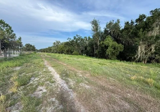 Homes for sale in Fort Meade, FL | Pool Branch Rd, Fort Meade, FL 33841 | MLS# TB8521620