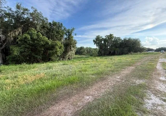 Homes for sale in Fort Meade, FL | Pool Branch Rd, Fort Meade, FL 33841 | MLS# TB8521620