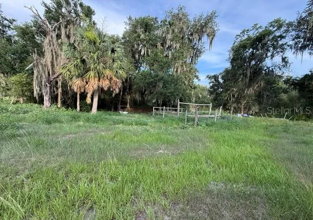 Homes for sale in Fort Meade, FL | Pool Branch Rd, Fort Meade, FL 33841 | MLS# TB8521620