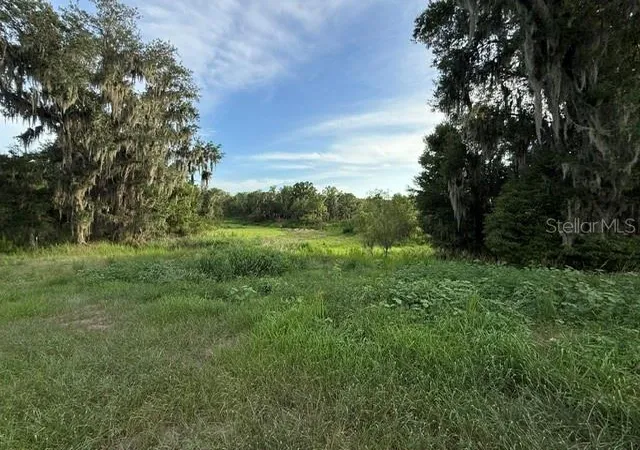 Homes for sale in Fort Meade, FL | Pool Branch Rd, Fort Meade, FL 33841 | MLS# TB8521620