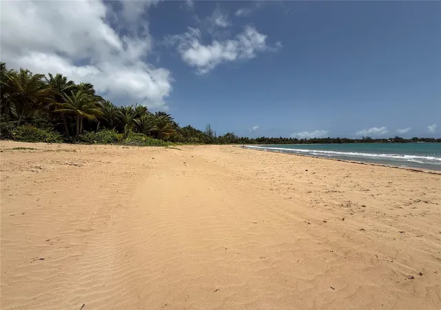 Homes for sale in Rio Grande, PR | 968 Road Las Picuas #AB 302, Rio Grande, PR 00745 | MLS# PR9122238